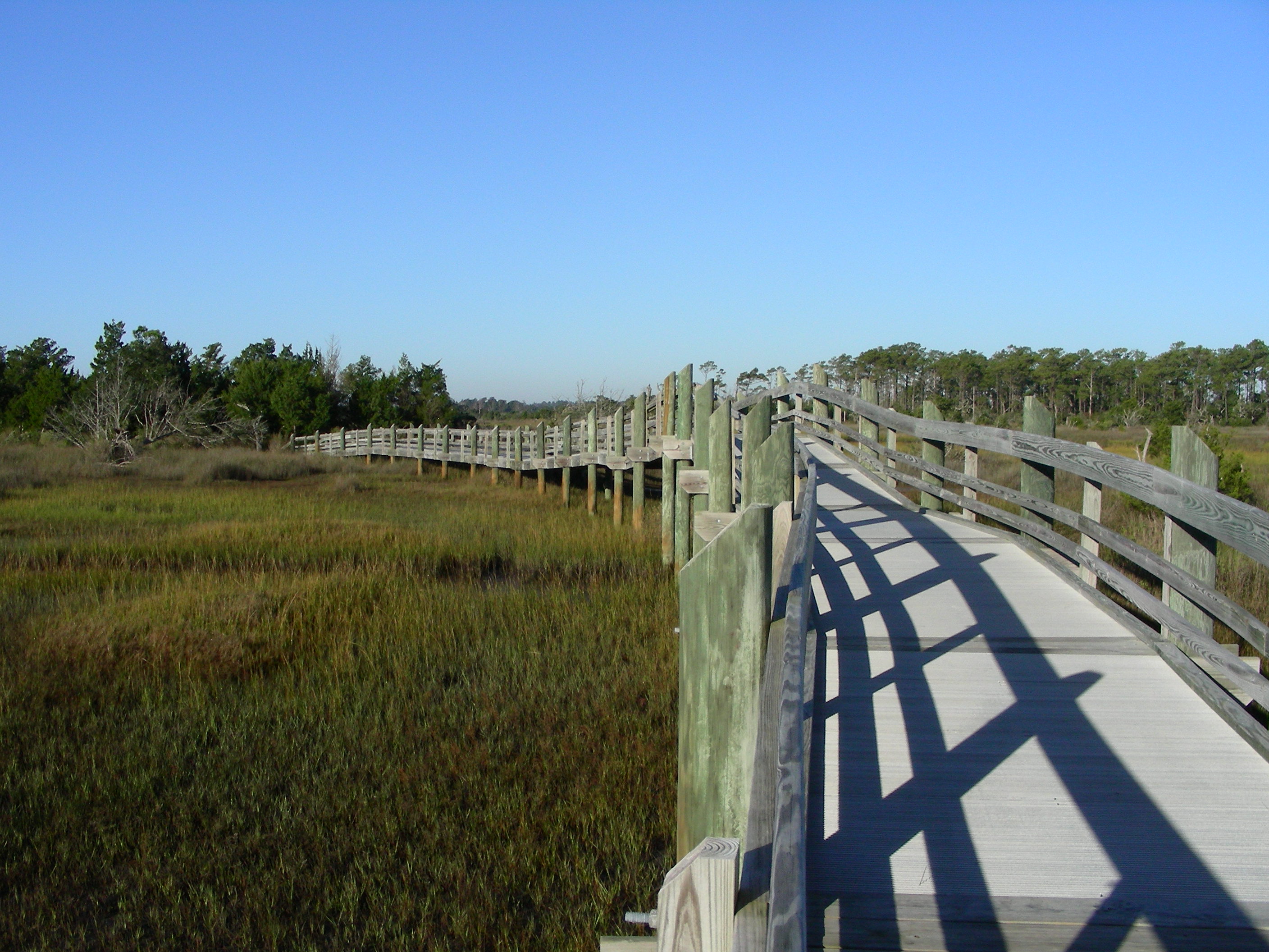 ./2006/Cedar Point/DSCN0363.JPG